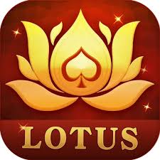 new year rummy download